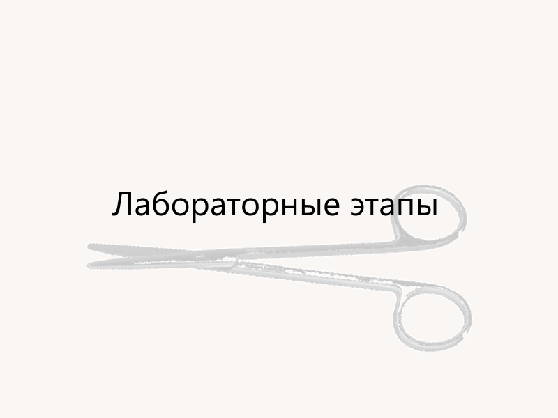 Блок 4 - Лаборатория